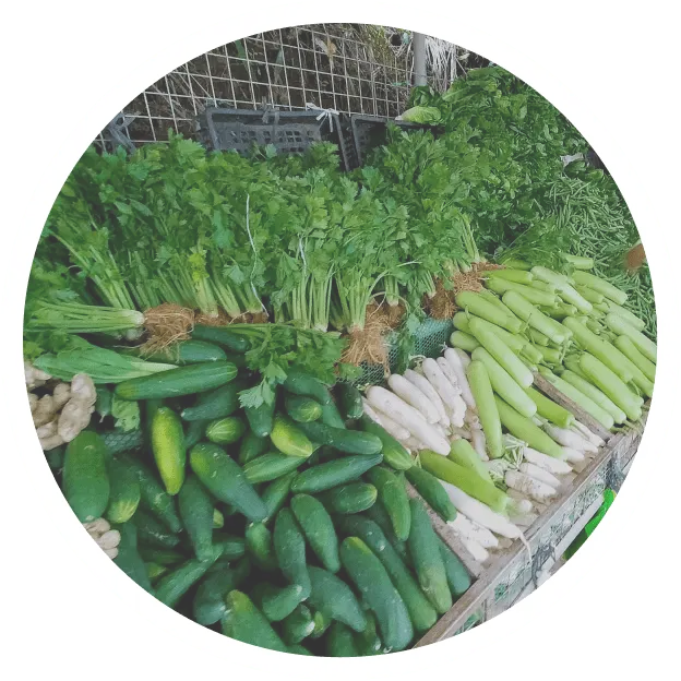 Veggies Circle 1